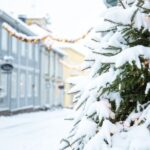 Helsinki: All highlights & Medieval Porvoo by VIP Car - The Practicalities & Final Thoughts