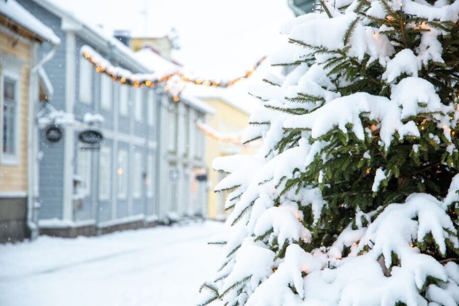 Helsinki: All highlights & Medieval Porvoo by VIP Car - The Practicalities & Final Thoughts