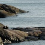 Helsinki: City and Outer Islands Guided RIB Boat Tour - Starting Point and First Impressions