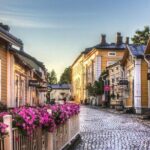 Helsinki Grand Tour and Medieval Town of Porvoo(private service) - Who Would Love This Tour?
