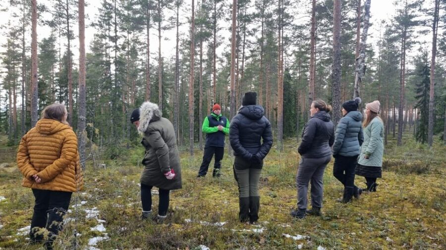 Helsinki: Guided Nature Experience with Campfire and Meal - Who Would Enjoy This Tour?