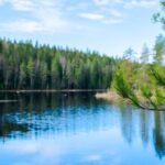 Helsinki: Nuuksio National park hiking with campfire lunch - The Itinerary in Detail