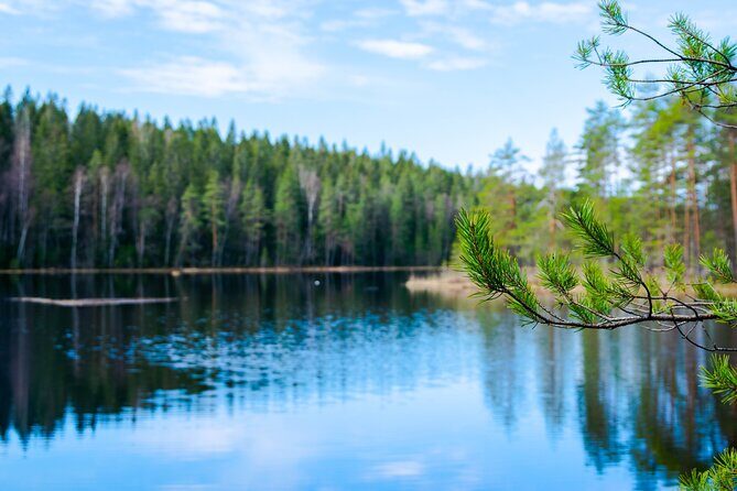Helsinki: Nuuksio National park hiking with campfire lunch - The Itinerary in Detail