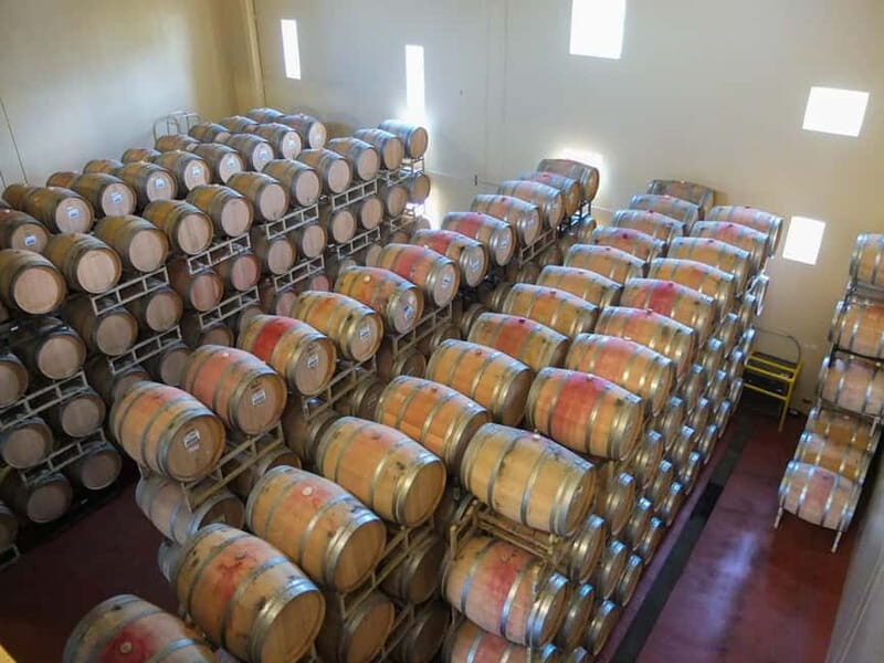 Helsinki: Private Visit to Finnish Berry Winery with Tasting - An in-depth look at the tour