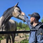 Helsinki: Reindeer Park and Horse Stable Private Tour - Final Thoughts