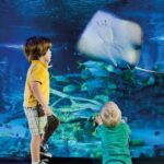Helsinki: Sea Life Entrance Tickets - A Detailed Look at What to Expect