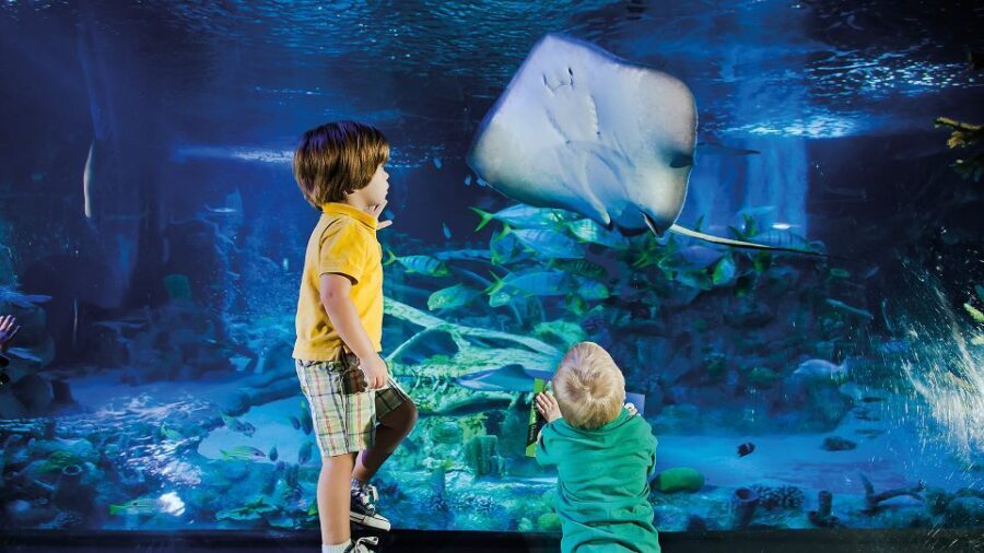 Helsinki: Sea Life Entrance Tickets - A Detailed Look at What to Expect