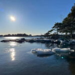 Helsinki: Uutela Guided Nature Hike with Snack - A Deep Dive into the Uutela Guided Nature Hike