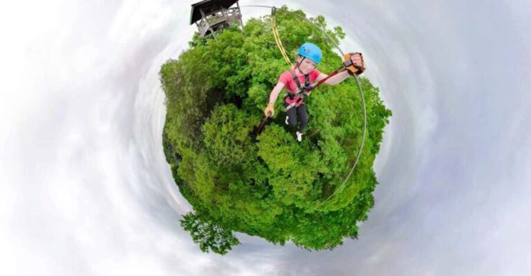 Henderson, Minnesota: 14-Line Zipline Canopy Tour - The Heart of the Adventure: High Lines and Speed