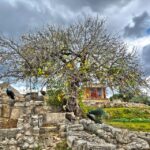Heraklion: Archeological Museum of Heraklion Entrance & Tour - Discovering Crete’s Ancient Cities and Artifacts