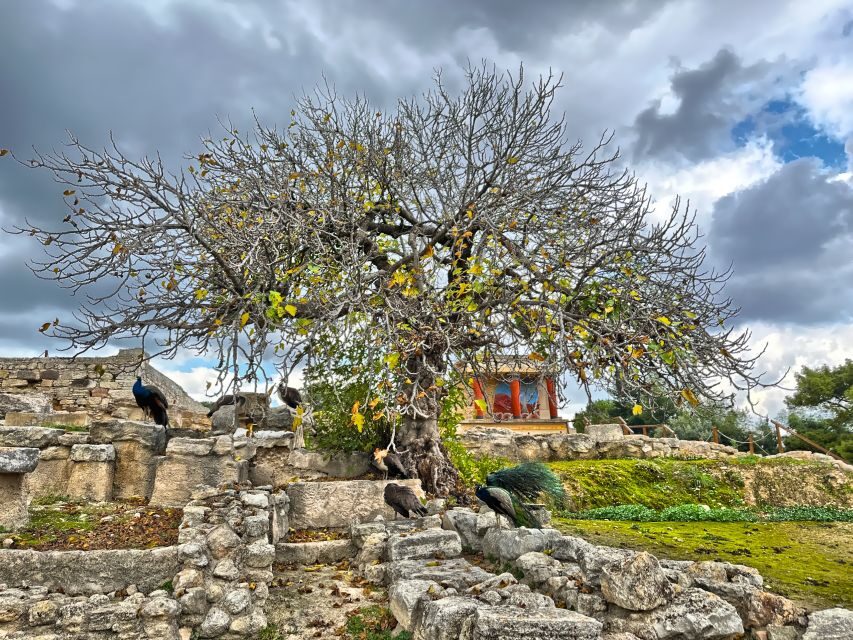 Heraklion: Archeological Museum of Heraklion Entrance & Tour - Discovering Crete’s Ancient Cities and Artifacts