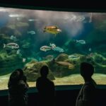 Heraklion Area: CRETAquarium Admission Ticket - Authentic Experiences From Visitors