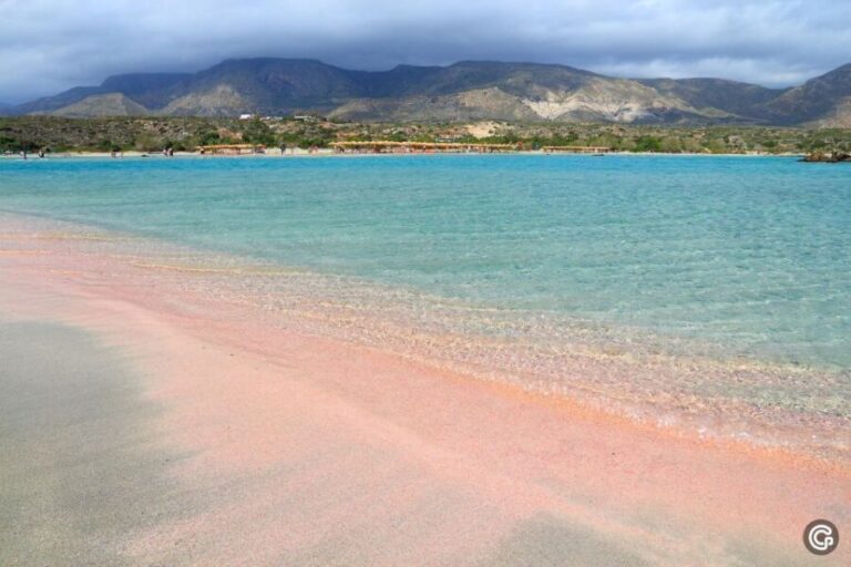 Heraklion Area: Direct Day Trip Elafonisi Island - Authentic Experiences and Traveler Reviews
