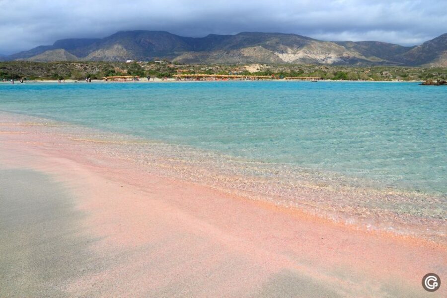 Heraklion Area: Direct Day Trip Elafonisi Island - Authentic Experiences and Traveler Reviews