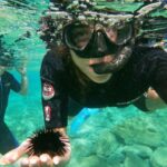 Heraklion: Beginner-Friendly Snorkeling Trip - Why Choose This Snorkeling Tour?
