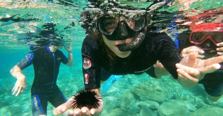 Heraklion: Beginner-Friendly Snorkeling Trip - Why Choose This Snorkeling Tour?