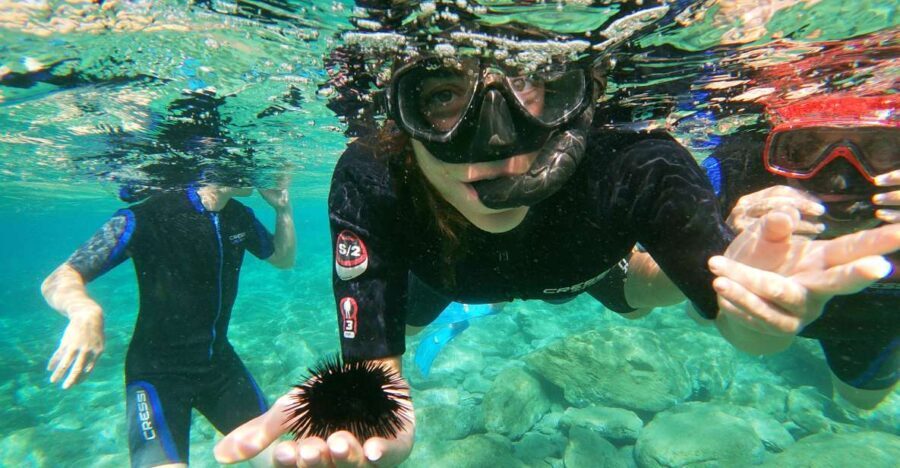 Heraklion: Beginner-Friendly Snorkeling Trip - Why Choose This Snorkeling Tour?