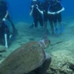 Heraklion: Beginner's intro dive w/2 Dives with transfer. - A Deep Dive into the Experience