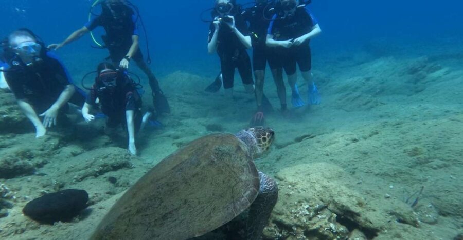 Heraklion: Beginner's intro dive w/2 Dives with transfer. - A Deep Dive into the Experience