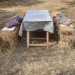 Heraklion :Olive & Dragon Farm Tour & Cretan Farmers Brunch - Exploring the Heraklion Olive & Dragon Farm Tour in Detail