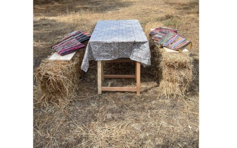 Heraklion :Olive & Dragon Farm Tour & Cretan Farmers Brunch - Exploring the Heraklion Olive & Dragon Farm Tour in Detail