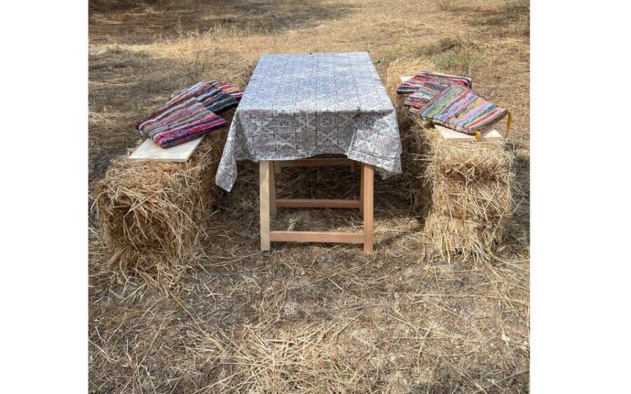 Heraklion :Olive & Dragon Farm Tour & Cretan Farmers Brunch - Exploring the Heraklion Olive & Dragon Farm Tour in Detail