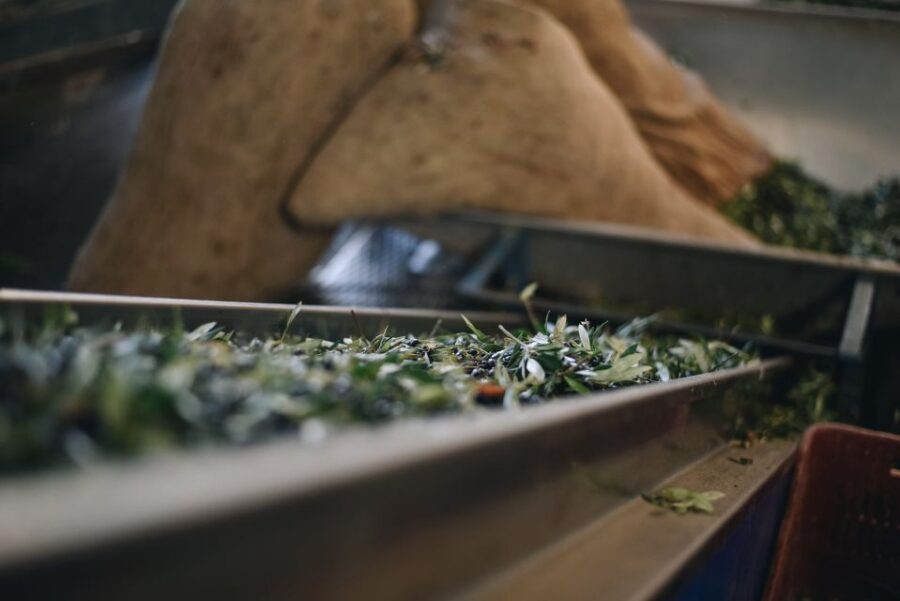 Heraklion: Olive Farm Tour with Tasting of Local Delicacies - Practical Details and Considerations