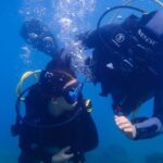 Heraklion: Scuba Diving Experience for First-Timers - Who Will Love This Tour?