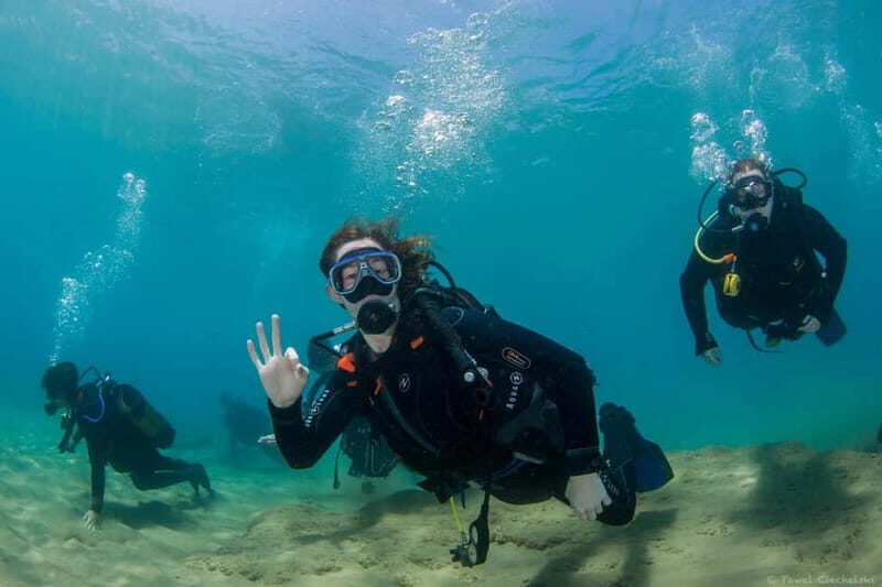 Heraklion: Try Scuba Diving - The Experience in Detail: What to Expect
