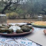 Heraklion:Olive & Dragon Fruit Farm Tour & Cretan Farmers Brunch - A Detailed Look at the Heraklion Olive & Dragon Fruit Farm Tour