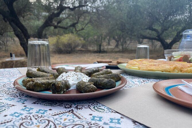 Heraklion:Olive & Dragon Fruit Farm Tour & Cretan Farmers Brunch - A Detailed Look at the Heraklion Olive & Dragon Fruit Farm Tour