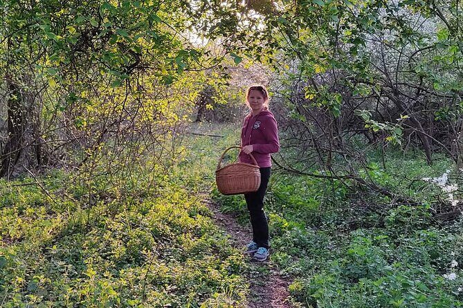 Herbal and Wild food walking tour in Warsaw area - Final Thoughts: Is It Worth It?
