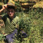 HERBS LAB - from plant to glass - An In-Depth Look at the HERBS LAB Tour