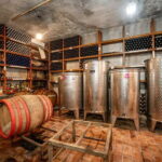 Herceg Novi: Charms of the Town of 6 Empires & Wine Tasting - The Coastal Views and Panoramas