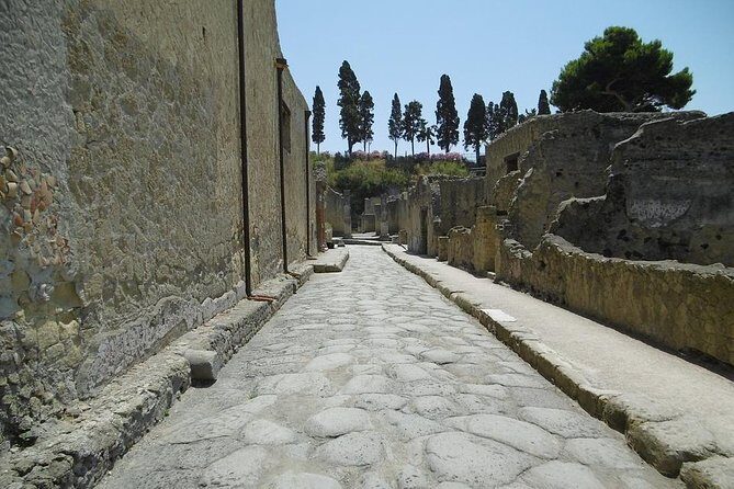 Herculaneum and the Archeological Museum of Naples Private Tour from Rome - The Marvels of Naples’ Archaeological Museum
