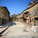 Herculaneum Private Tour with wine and lunch option on Vesuvius - Who Should Consider This Tour?