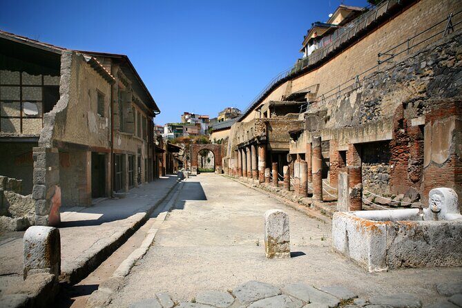 Herculaneum Private Tour with wine and lunch option on Vesuvius - Who Should Consider This Tour?
