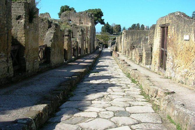 Herculaneum Ruins Private Half-Day Tour - Final Thoughts