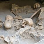 Herculaneum small group tour with an archaeologist - skip the line - The Experience in Practice: What Youll Take Away