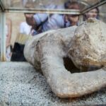 Herculaneum, Vesuvius and Pompeii Full Day Tour from Naples - Who Will Love This Tour?