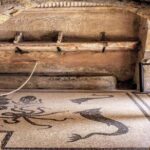 Herculaneum VIP Tour with Lunch from Naples - Analyzing the Price and Overall Value