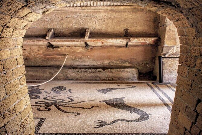 Herculaneum VIP Tour with Lunch from Naples - Analyzing the Price and Overall Value