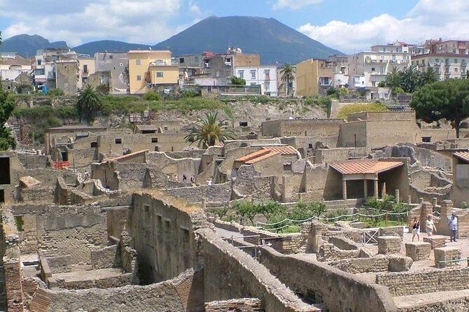 Herculaneum walking tour with a professional Guide - What to Expect During Your 2-Hour Visit
