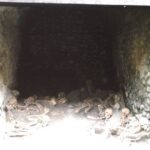 Herculanium guided tour - Who Will Love This Tour?