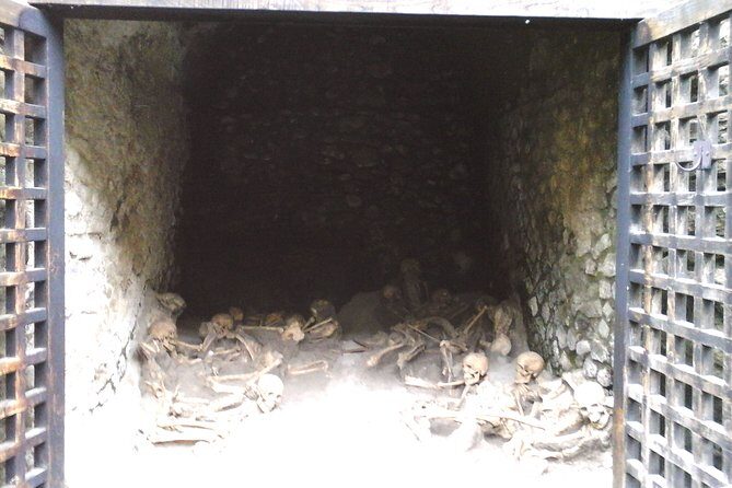 Herculanium guided tour - Who Will Love This Tour?