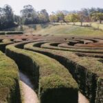 Herons Creek: Bago Maze Entry Ticket - An In-Depth Look at the Bago Maze Experience