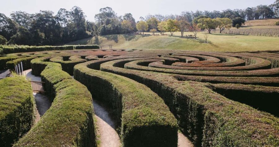 Herons Creek: Bago Maze Entry Ticket - An In-Depth Look at the Bago Maze Experience
