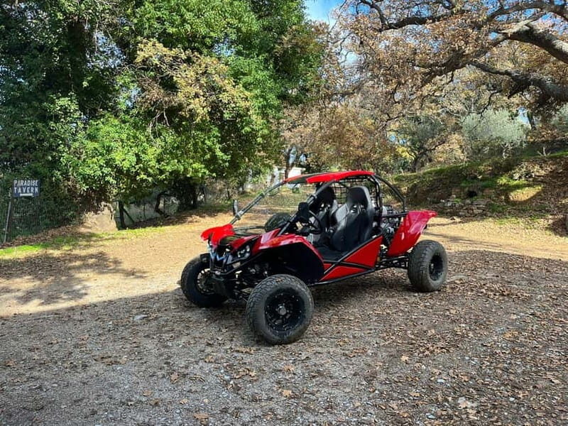 Hersonissos: Buggy Safari Adventure Tour - The Sum Up