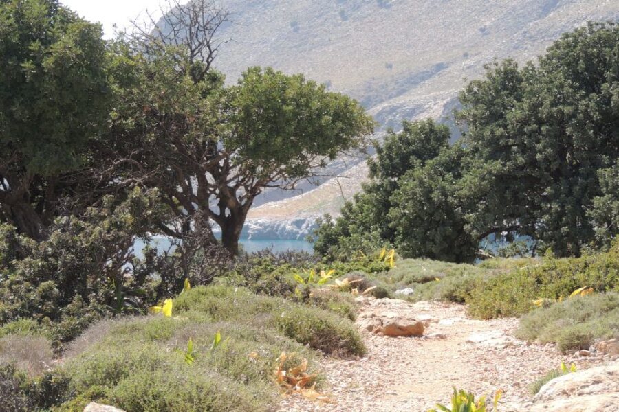 Hersonissos: South Eastern Crete & Sarakinas Gorge Day Tour - The Practical Side of Things