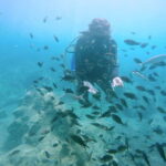 Hersonissos, Stalida: Scuba Diving Experience for beginners - Final Thoughts: Who Is This Experience Best For?